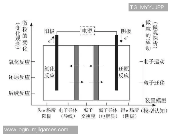 TES在世界大师赛中的速度表现分析与点评 TES在世界大师赛中的速度表现分析与点评