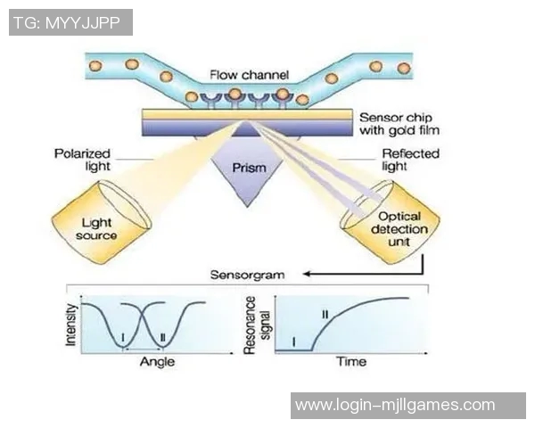 esports最新数据EDG在CSGO赛事中的节奏掌控分析及其对战局的影响探讨